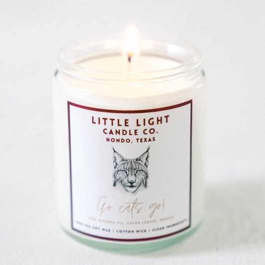 Texas State Candle